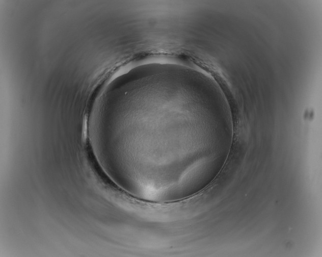 X0000089380027200706221305