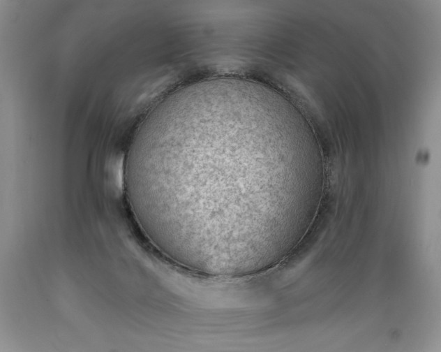 X0000089380028200706221305