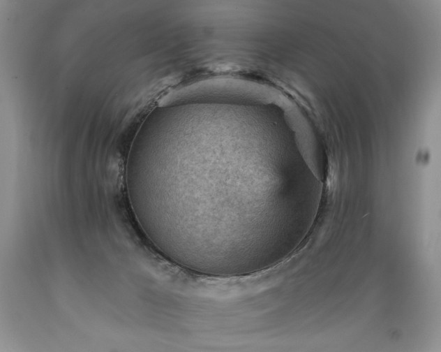 X0000089380029200706221305