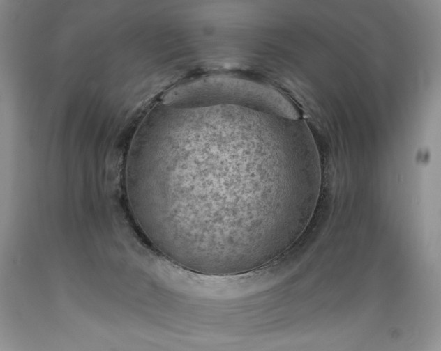X0000089380030200706221305
