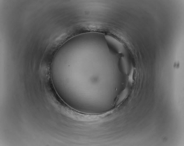 X0000089380031200706221305