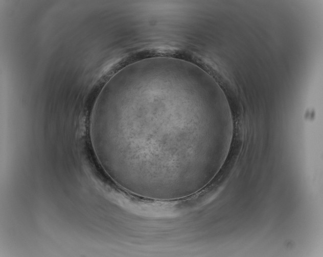 X0000089380032200706221305