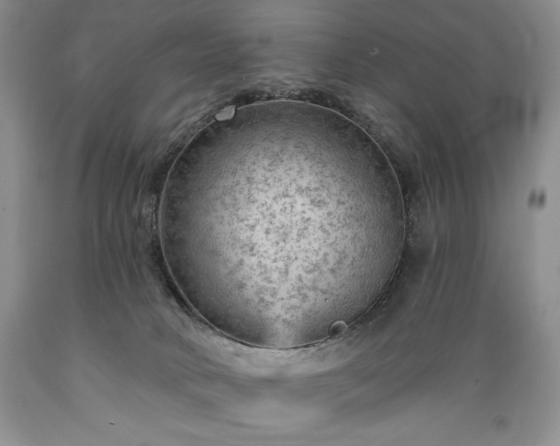 X0000089380034200706221305