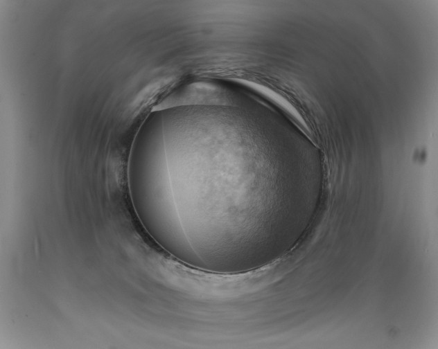 X0000089380035200706221305