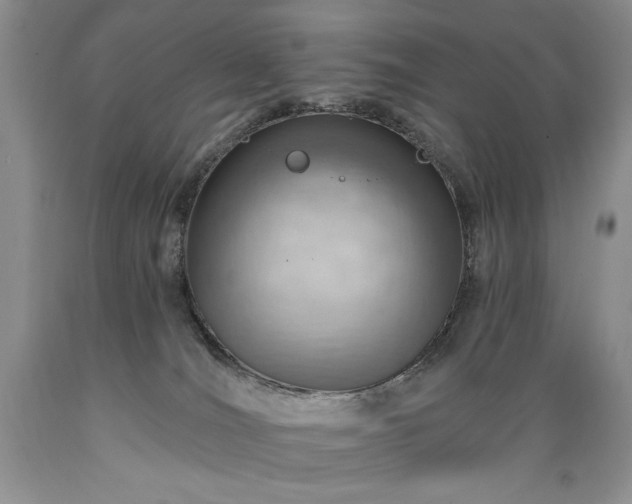 X0000089380036200706221305