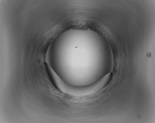 X0000089380037200706221305