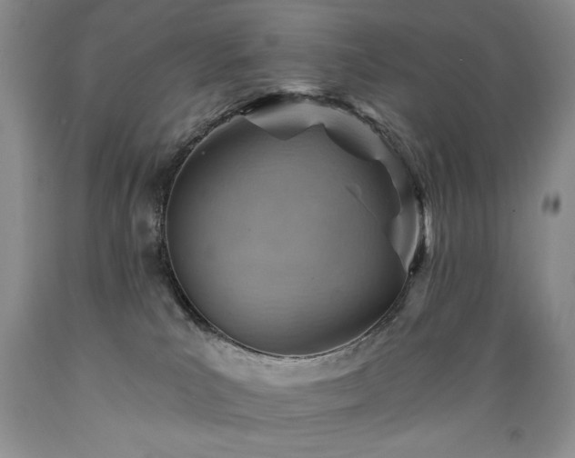 X0000089380039200706221305