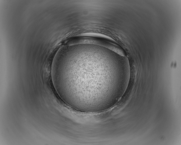 X0000089380040200706221305