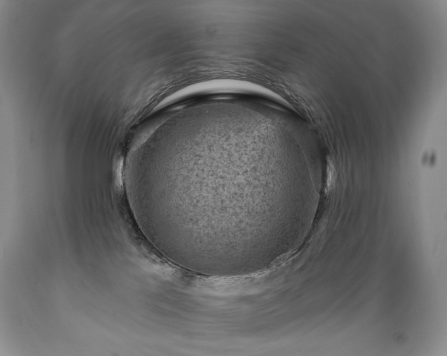 X0000089380041200706221305