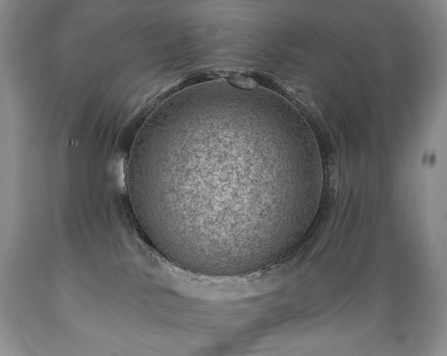 X0000089380042200706221305