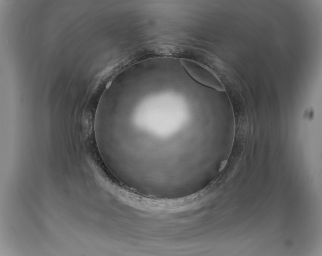 X0000089380043200706221305