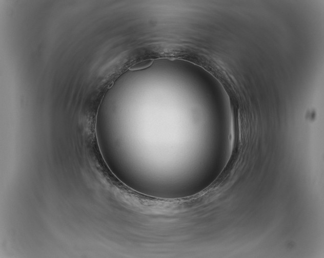 X0000089380044200706221305
