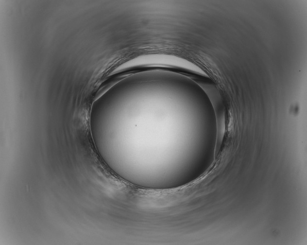 X0000089380045200706221305