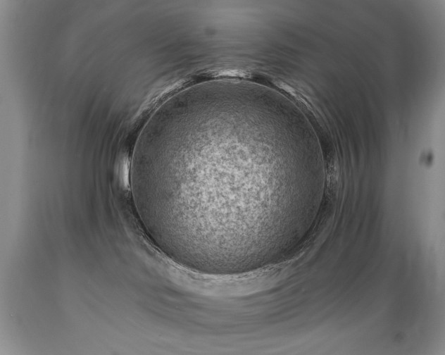 X0000089380046200706221305