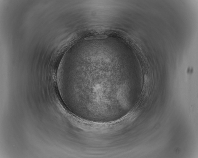 X0000089380048200706221304