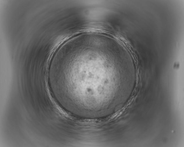 X0000089380049200706221304