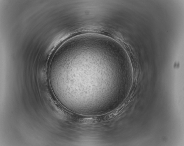 X0000089380050200706221304