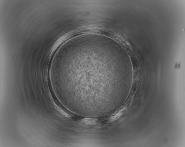 X0000089380051200706221304