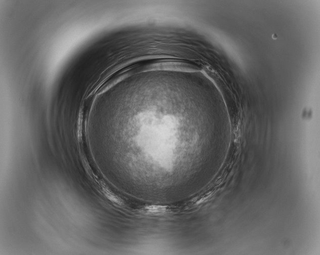 X0000089380052200706221304