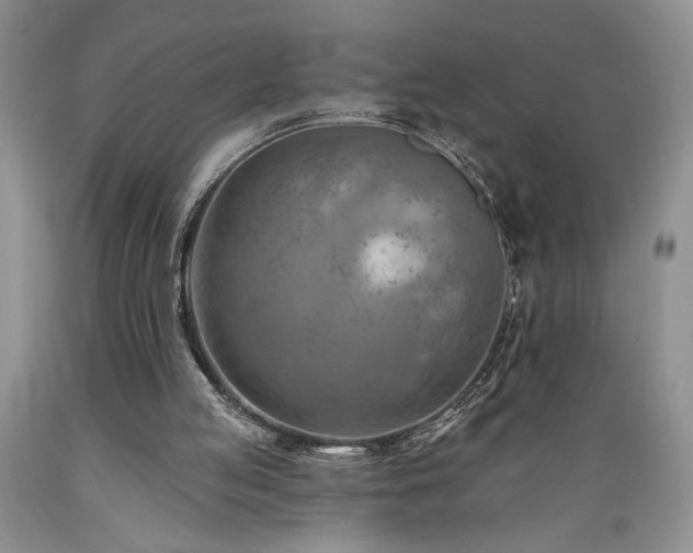 X0000089380053200706221304