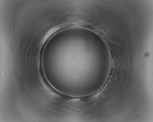 X0000089380054200706221304
