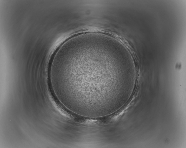 X0000089380055200706221304