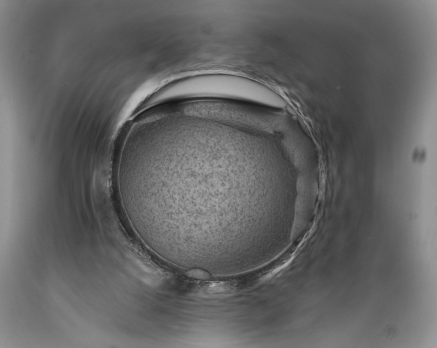 X0000089380056200706221304