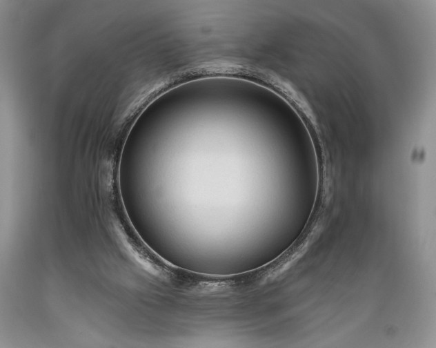 X0000089380057200706221304