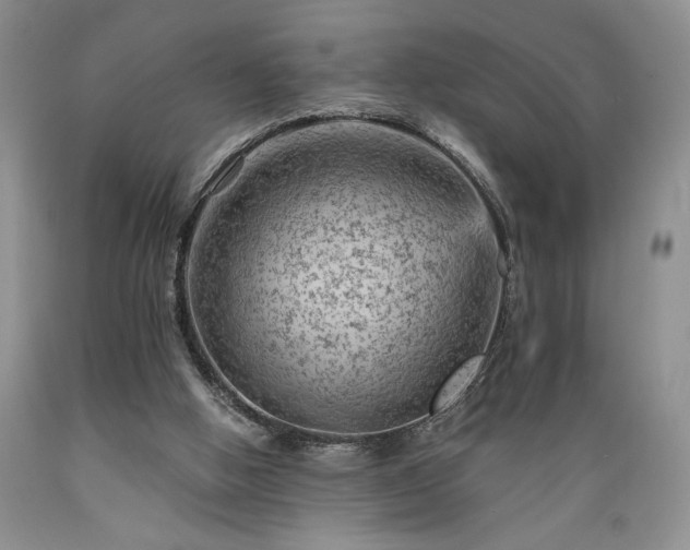 X0000089380058200706221304