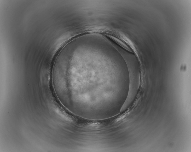 X0000089380059200706221304