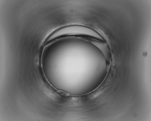 X0000089380060200706221304