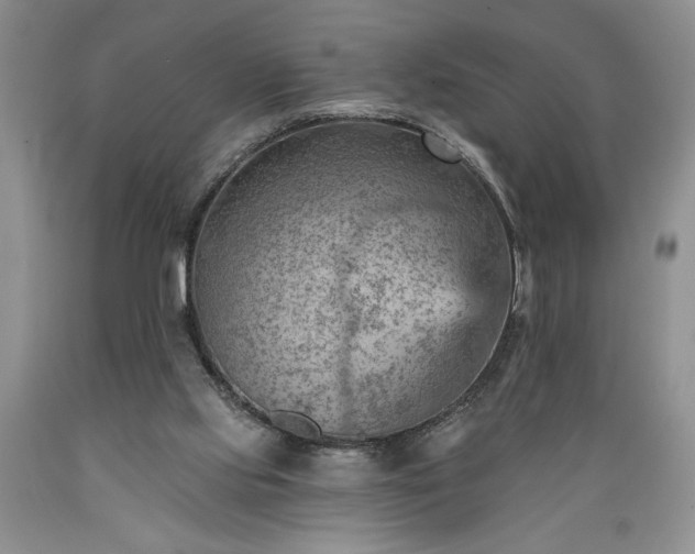 X0000089380061200706221304
