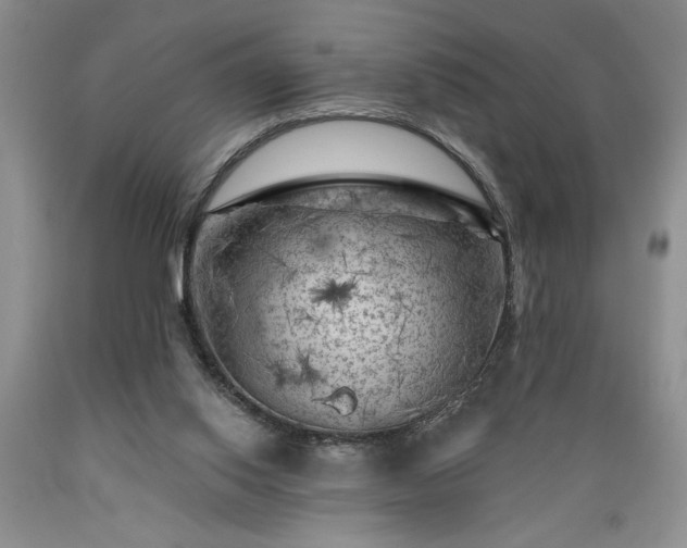 X0000089380062200706221304