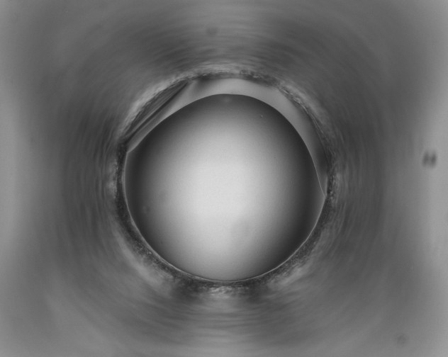 X0000089380064200706221304