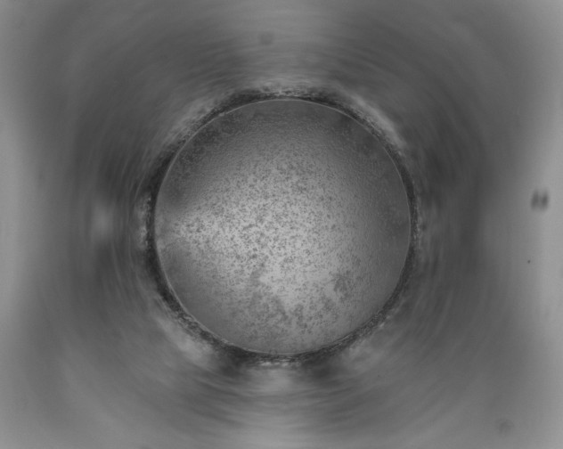 X0000089380065200706221304