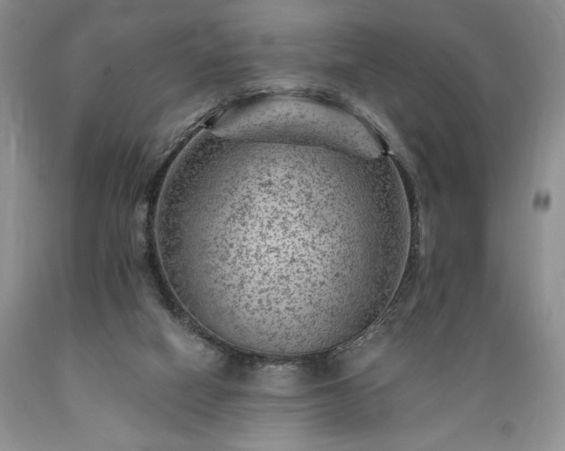 X0000089380066200706221304