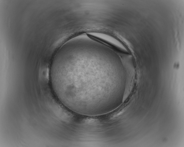 X0000089380067200706221304