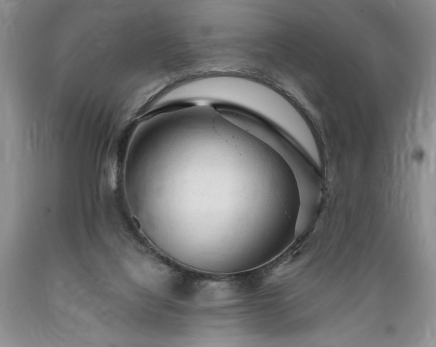 X0000089380068200706221304
