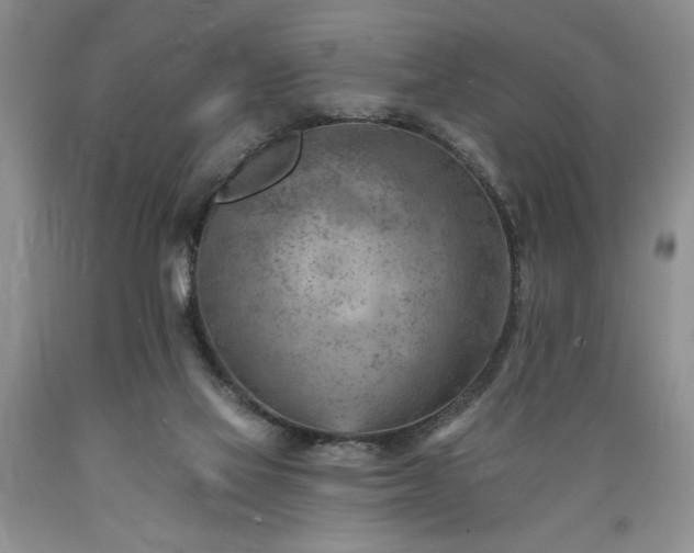 X0000089380069200706221304