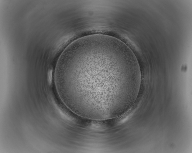 X0000089380070200706221304