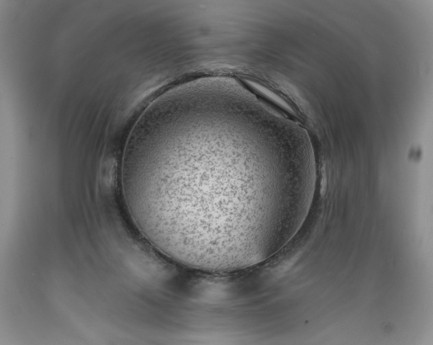 X0000089380071200706221304