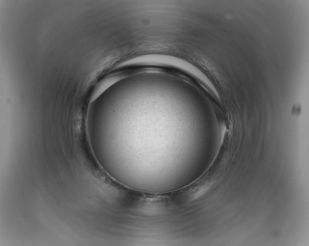 X0000089380072200706221304