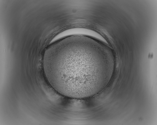 X0000089380073200706221304