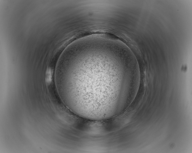 X0000089380075200706221304