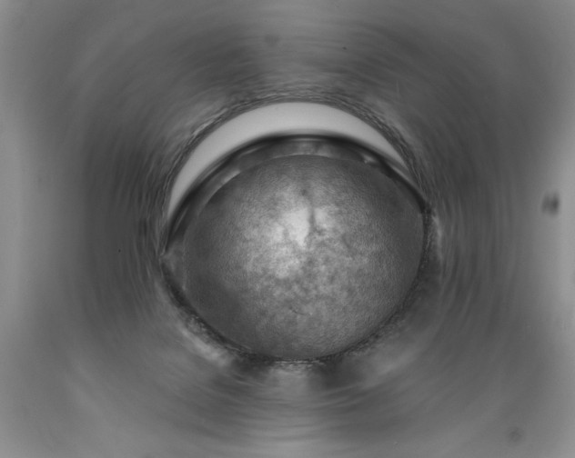 X0000089380076200706221304
