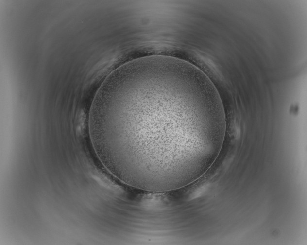 X0000089380077200706221304