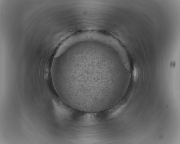 X0000089380080200706221304