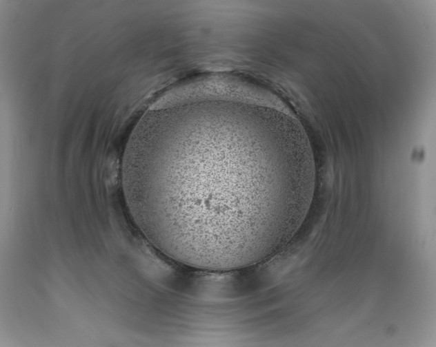 X0000089380081200706221304