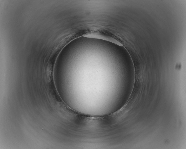 X0000089380082200706221304
