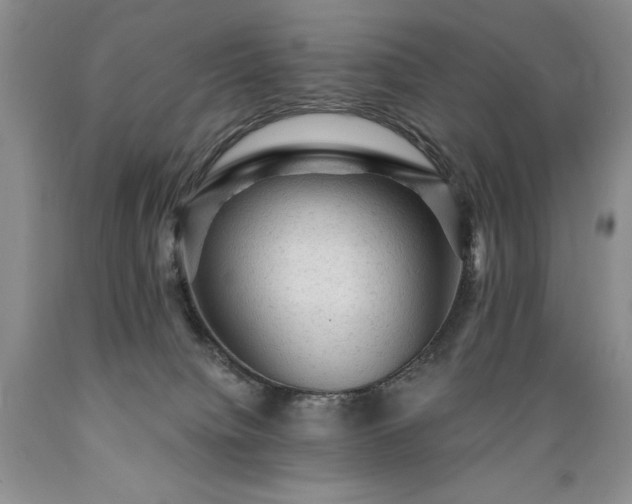 X0000089380084200706221304